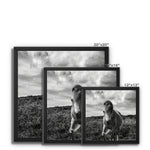 Whitesands Pony Framed Canvas