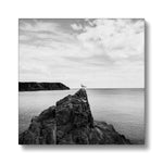 Gower Seagull Canvas