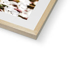 Sea Campion Framed & Mounted Print