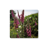 Foxgloves Coaster