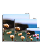 Flores Fine Art Print