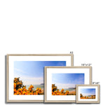 Caswell In Bloom Framed & Mounted Print
