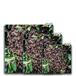 The Hive Canvas