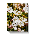 Sea Campion Hardback Journal