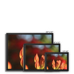 Fiore Italiano Framed Canvas
