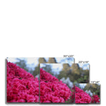 Clyne Gardens Canvas