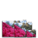 Clyne Gardens Canvas