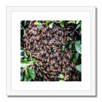 The Hive Framed & Mounted Print