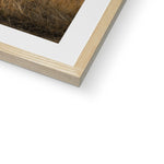 Welsh Cow Framed & Mounted Print