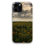 Rhossili Sunflowers Eco Phone Case