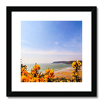 Caswell In Bloom Framed & Mounted Print