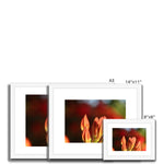 Fiore Italiano Framed & Mounted Print