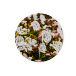 Sea Campion Glass Chopping Board