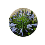 African Lily Glass Chopping Board