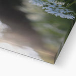 Tilia Cordata Canvas