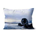DC-3 Plane Wreck Cushion