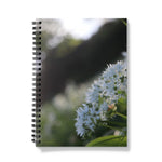 Tilia Cordata Notebook