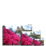 Clyne Gardens Fine Art Print