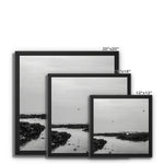 High flyers Framed Canvas