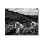 Llyn y Fan Sheep Canvas