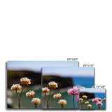 Flores Canvas