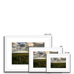 Rhossili Sunflowers Framed & Mounted Print