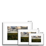 Rhossili Sunflowers Framed & Mounted Print
