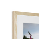 Foxgloves Framed & Mounted Print