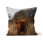 Welsh Cow Cushion