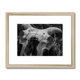Horns Framed & Mounted Print