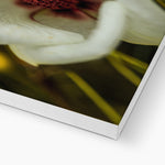 Elle Maree Canvas