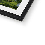 Tilia Cordata Framed & Mounted Print