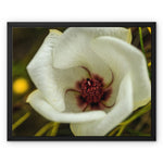 Elle Maree Framed Canvas