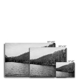 Swan Lake Canvas