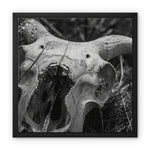 Horns Framed Canvas