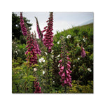 Foxgloves Fine Art Print