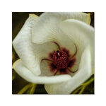 Elle Maree Fine Art Print