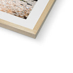 Tenby sands Framed & Mounted Print