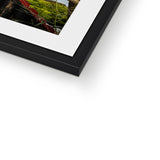 Red Panda Framed & Mounted Print