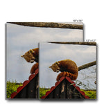 Red Panda Canvas