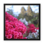 Clyne Gardens Framed Canvas