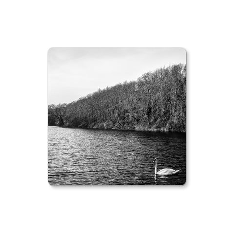 Swan Lake Coaster