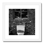 Ty Bach Framed & Mounted Print