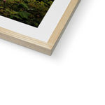 Foxgloves Framed & Mounted Print