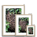 The Hive Framed & Mounted Print