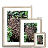 The Hive Framed & Mounted Print