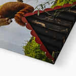 Red Panda Canvas