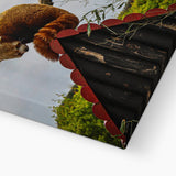Red Panda Canvas