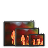 Fiore Italiano Framed Canvas