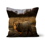 Highland Cow Cushion